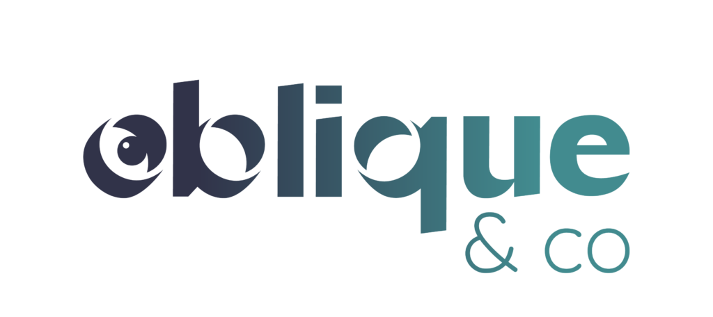 cabinet de conseil en stratégie, organisation et management